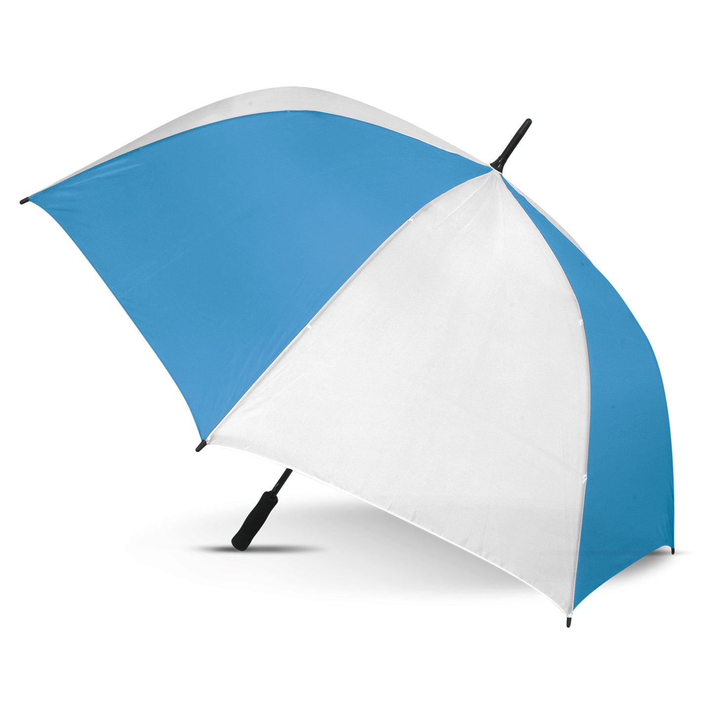 White/Light Blue